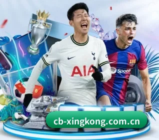 五大服务分区,信息按项目分类 | XINGKONG